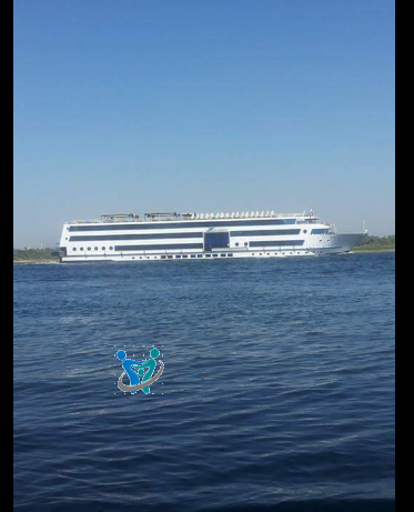 جزيرة المنصورية بأسوان لن تصدق جمالها من الداخل ولكنها تُعاني 7 المنصورية